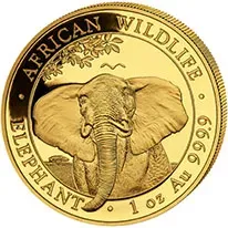 Somalian gold elephants-image